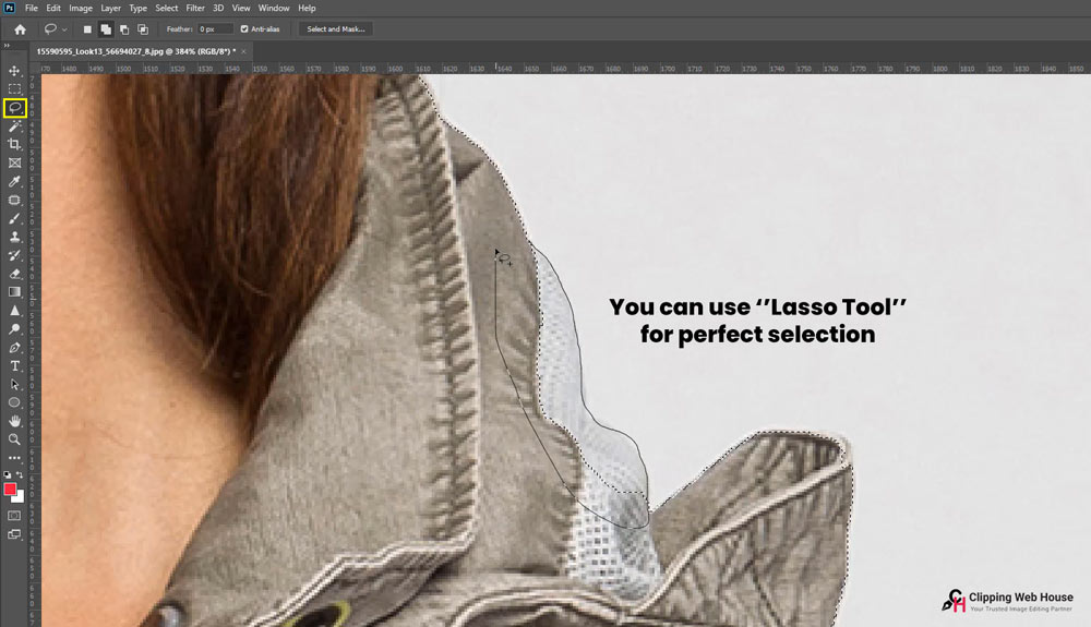 You can use lasso tool